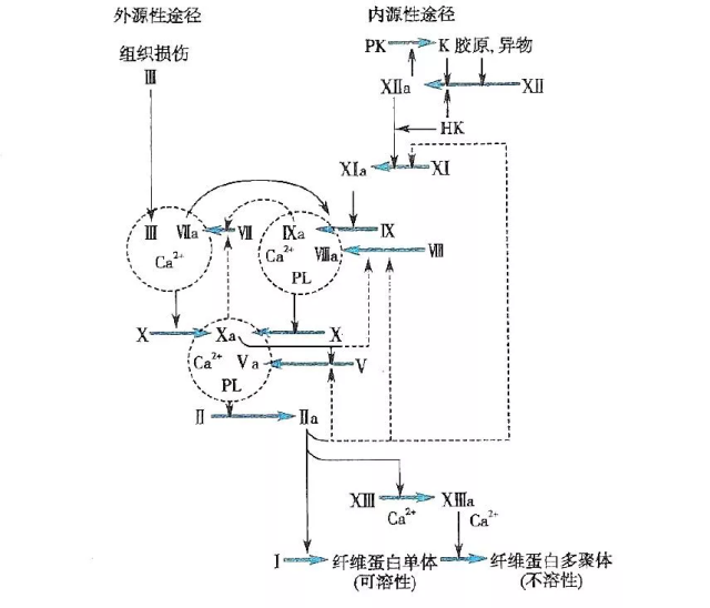 圖片1.png